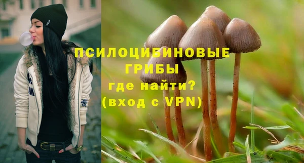 индика Абдулино