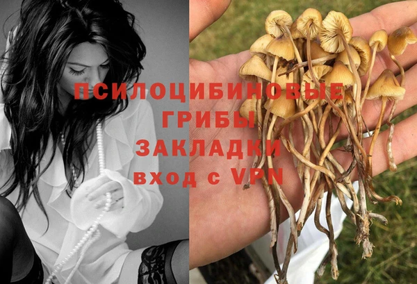 индика Абдулино