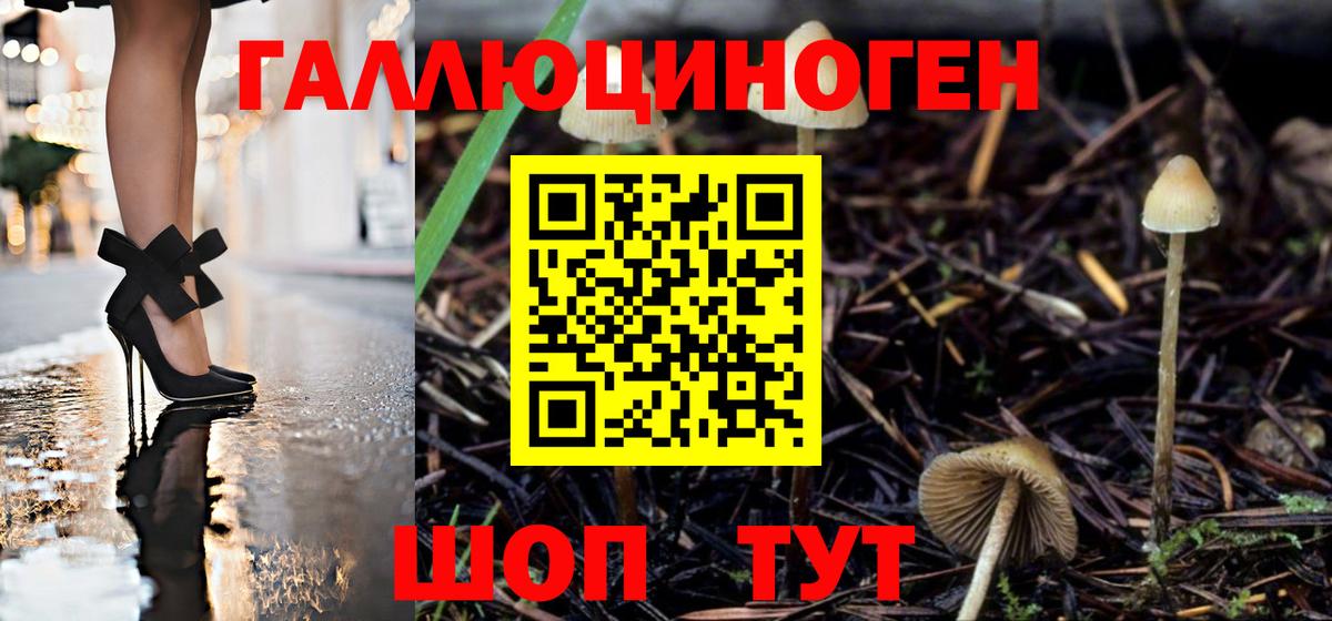 Псилоцибиновые грибы MAGIC MUSHROOMS Псков