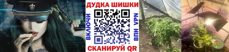 Шишки марихуана марихуана  mega как войти  Псков 